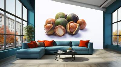 Fresh harvest of macadamia nuts, green macadamia nuts in shell and cracked nuts close up isolated Wall mural