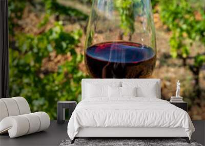 Glass of red dry wine and large pebbles galets and sandstone clay soils on vineyards in Châteauneuf-du-Pape ancient wine making village in France Wall mural