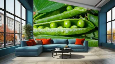 Organic gardening, harvest of green garden peas, fresh peas pods, vegetarian food Wall mural