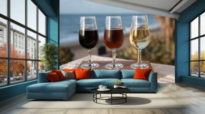 Tasting of Spanish sweet and dry fortified Vino de Jerez sherry wine and green olives with view on blue sea near El Puerto de Santa Maria, Andalusia, Spain Wall mural