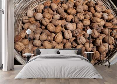 Wicker basket with collected walnuts, cultivation of AOP walnuts in Perigord, Dordogne, France Wall mural