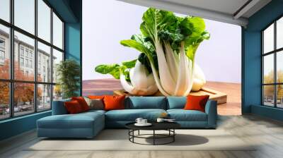 Young organic white bok choy or bak choi Chinese cabbage ready to cook Wall mural