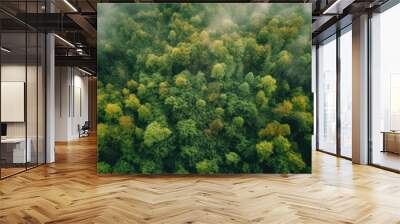 Aerial view of dense green forest in morning fog. Top view Wall mural