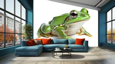 Frog sitting and croaking isolated on a white background Wall mural