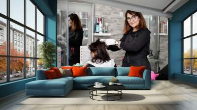 Smiling hairdresser dyeing the hair of a brunette woman.  Workplace with dividing separate plastic shields Wall mural