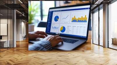 Business Professional Analyzing Financial Data, KPI Metrics on Dashboard - Strategic Planning, Market Research, Business Intelligence Concept Wall mural