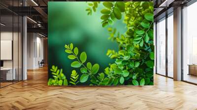 Fresh spring moringa leaves on vibrant green background with copy space, symbolizing natural wellness and herbal health concepts Wall mural