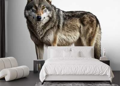 Illustration of Wolf isolated on white background. Generative AI Wall mural