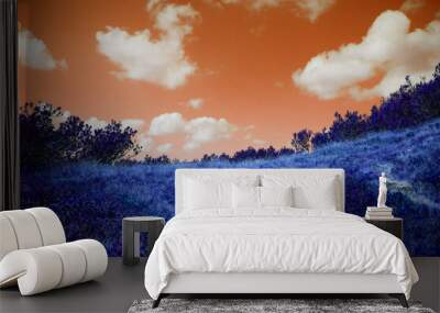 color look of a beautiful landscape, blue and orange colors Wall mural