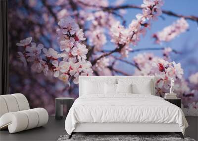 Blooming pink apricot flowers on tree branch Wall mural