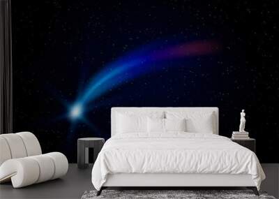 falling star Wall mural