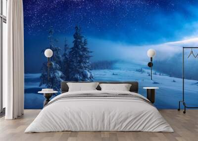 Christmas and New Year winter night Wall mural