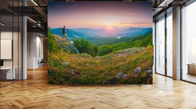 Hiker in a valley Wall mural