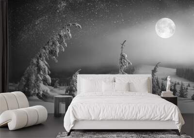 In a light of rising moon. Black and white Wall mural