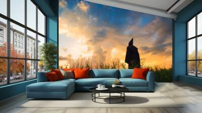 Monk on a hill against sunset sky Wall mural