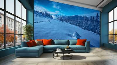 Mountain hill covered with snow in a moon light Wall mural