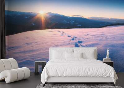 The track of footprints on a fresh snow Wall mural