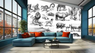 Big collage of different animals, mammals and zoo animals collection / Vintage and Antique illustration from Petit Larousse 1914	 Wall mural