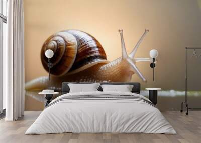 A Snail Crawling on a Wet Surface Wall mural