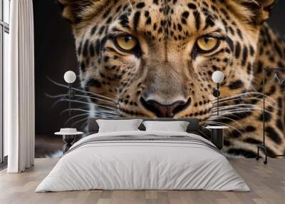 Close-up portrait of a leopard with intense golden eyes Wall mural