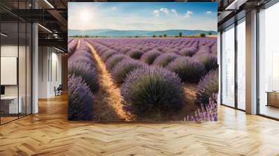 Lavender Field with Two Paths and a Sunlit Sky Wall mural