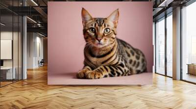 Portrait of a Bengal Cat with Green Eyes on a Pink Background Wall mural