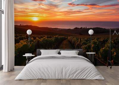 A scenic vineyard landscape at sunset, with rows of grapevines stretching across rolling hills towards the ocean in the distance Wall mural