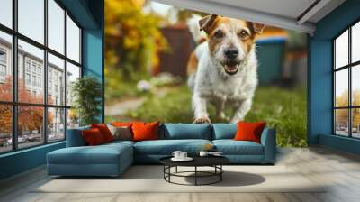 A three-legged dog playing fetch with a ball in a backyard,  displaying resilience and determination Wall mural