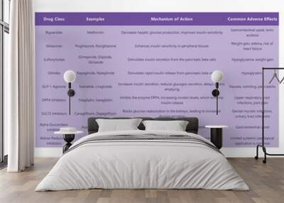 Table comparing oral diabetes 2 medications - Drug Class, Examples, Mechanism of Action, Common Adverse Effects Wall mural