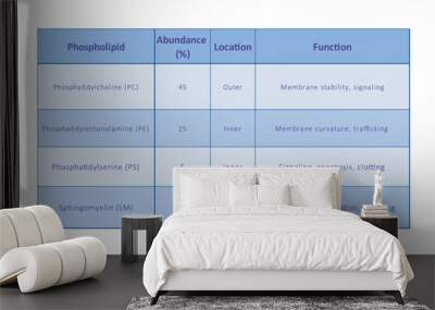 Table showing Phospholipids types, membrane abundance and location and function - including PC, PE, PS, SM.  Blue scientific vector illustration. Wall mural