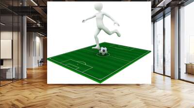 Football player kick the ball Wall mural