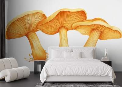 A minimalist illustration captures three vibrant chanterelle mushrooms elegantly arranged on a bright background showcasing their delicate curves and rich earthy colors Wall mural