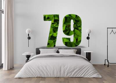 green eco text, Set design number with leaf texture on white background, set of number leaf texture.  Wall mural