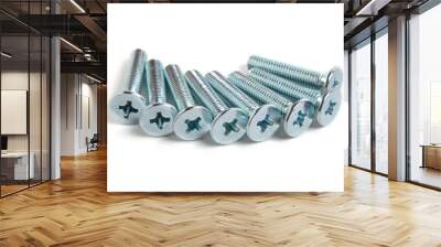 screws isolated on white background Wall mural