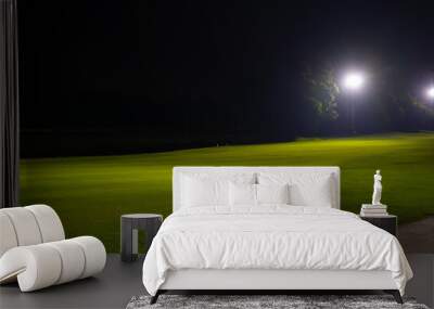 Beautiful dark night view of the golf course, Bunkers sand and green grass, garden background In the light of the spotlight underexposure view. Wall mural