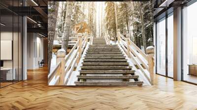 Beautiful winter landscape. A view of the stairs in the park or forest. Wooden staircase in the park in winter, around everything in the snow Wall mural