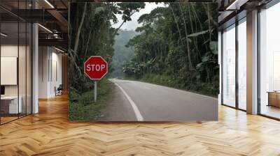 stop sign on the road near jungle Wall mural