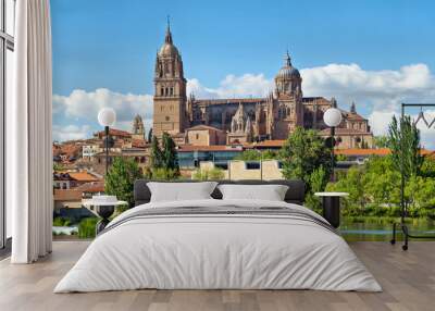 New Cathedral in Salamanca - view from river side, Castilla, Spain Wall mural