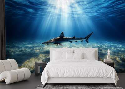 A blacktip reef shark swims through a sunlit reef in clear blue water. Wall mural