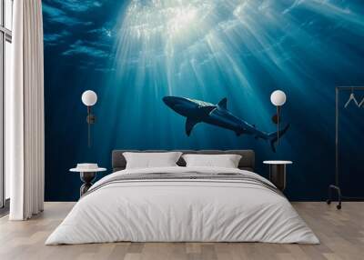 A shark swims through the deep blue ocean with sunlight beaming down. Wall mural