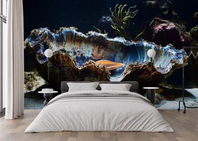 A single orange fish swimming in a giant clam shell in an aquarium with white sand. Wall mural