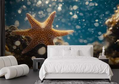 A starfish perched on a rock underwater, with sunlight streaming through the water creating a bokeh effect. Wall mural