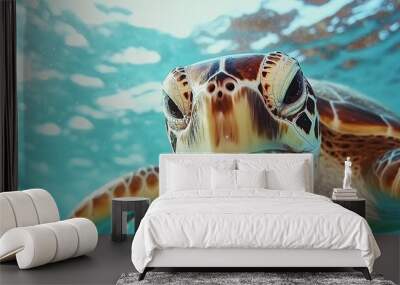 Close-up of a sea turtle swimming underwater with a curious expression. Wall mural