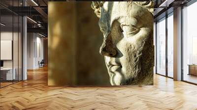 Close-up of a weathered marble bust of a woman with sunlight shining on her face. Wall mural