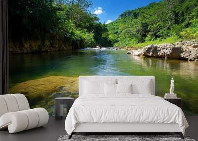 Tranquil jungle river flowing through lush green foliage with clear water and rocks visible. Wall mural