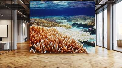 Underwater view of a vibrant coral reef with a variety of colors and textures. Wall mural