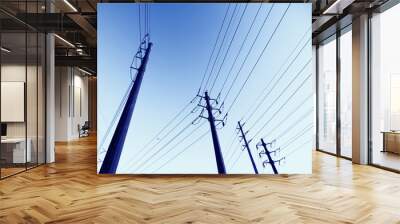 power lines Wall mural