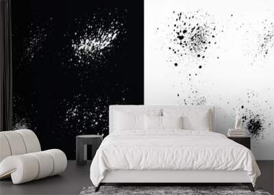 Realistic black and white vector paint ink grunge splatter brush stroke background set. Paint brush stroke banner template set Wall mural