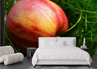 grass background green color with red apple Wall mural