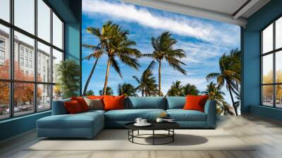 Tropical beach in Miami. Tropical outdoor scene with palm tree. Tropical summer vacation. Exotic nature. Palm tree. Summer vacation in Miami beach, Florida. Palm tree of California. Summer paradise Wall mural